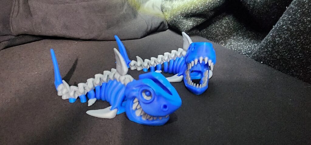 Photo of two 3D printed flexi shark skeleton by Flexi Factory