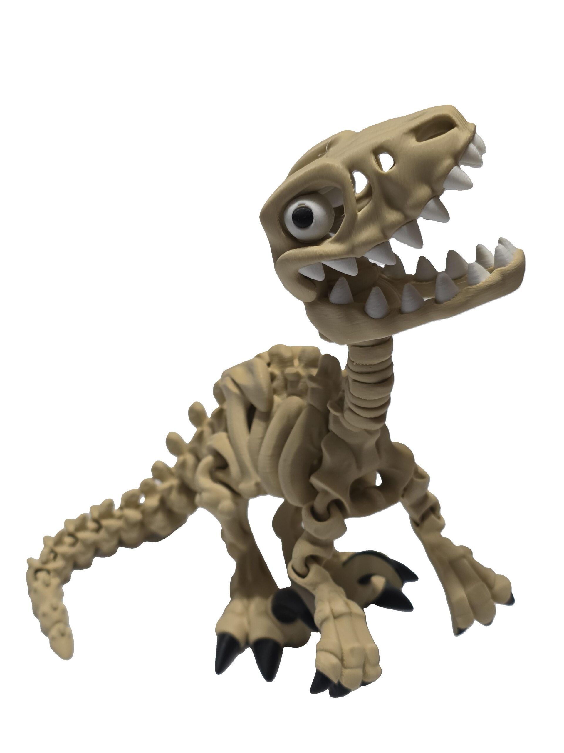 Photo of 3D printed flexi skeleton raptor in bone color